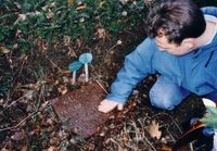 Das Grabstein mit Moos überzogen im Januar 2000